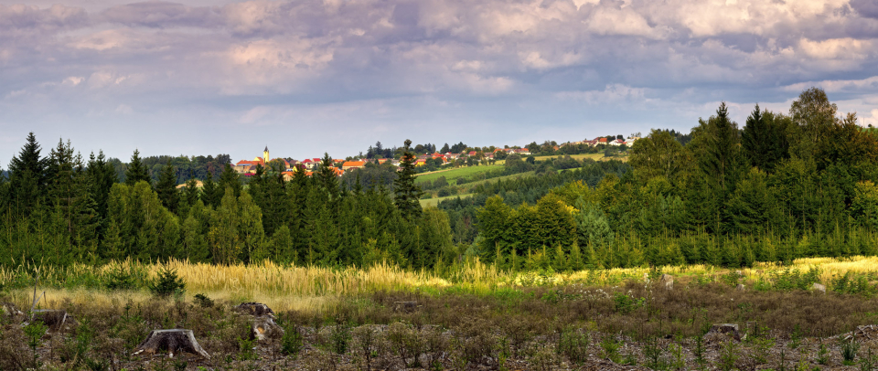 Hledáme zubního lékaře, Zbraslavice