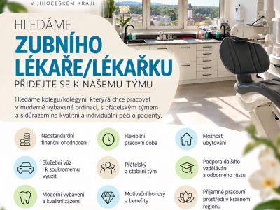 Zubní lékař/lékařka